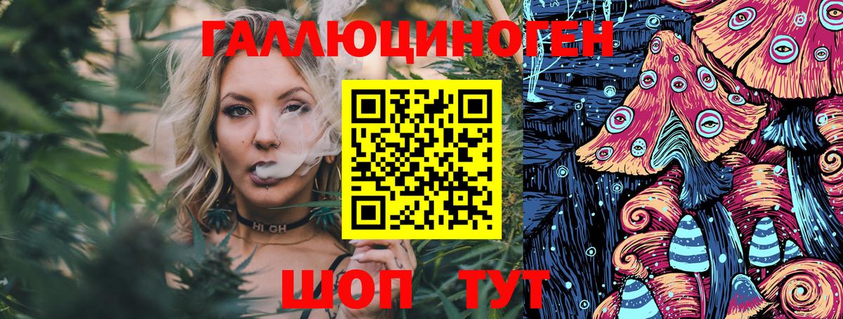 Псилоцибиновые грибы Psilocybe Нерюнгри